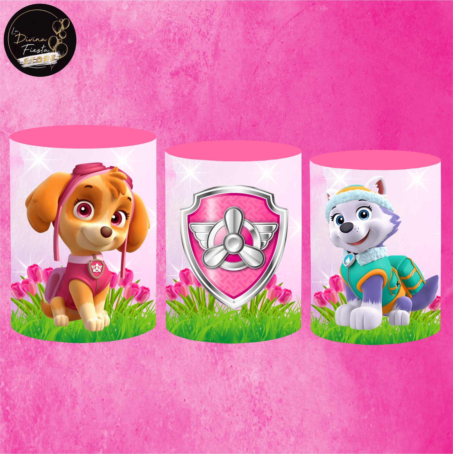 Set Paw Patrol V7