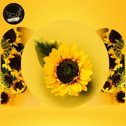 Set Girasol