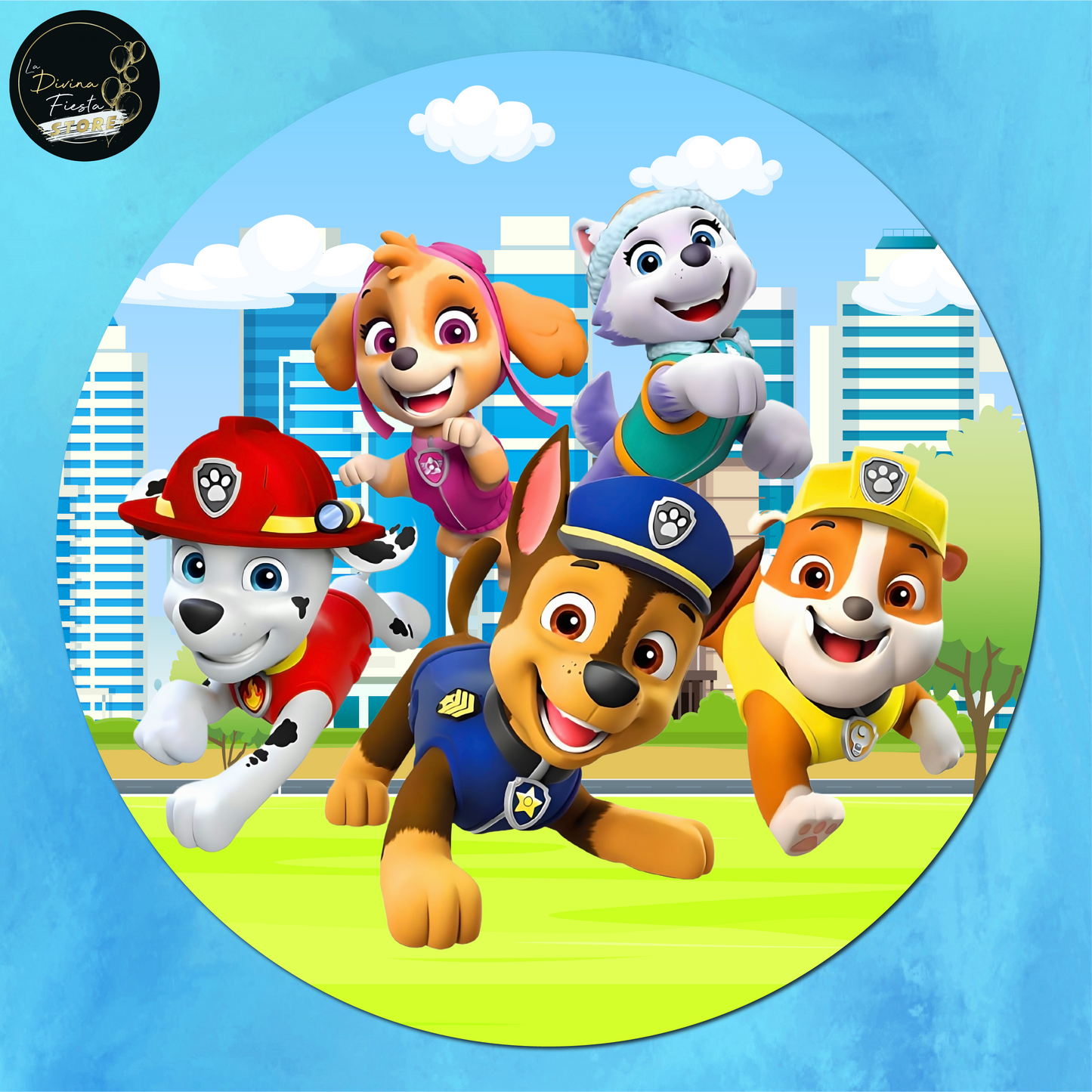 Set Paw Patrol V6