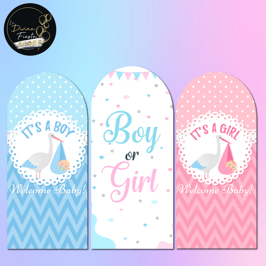 Set Gender Reveal V2